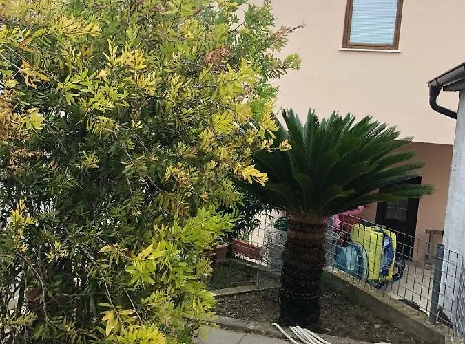 Appartement By The Sea Razanj, - 7486